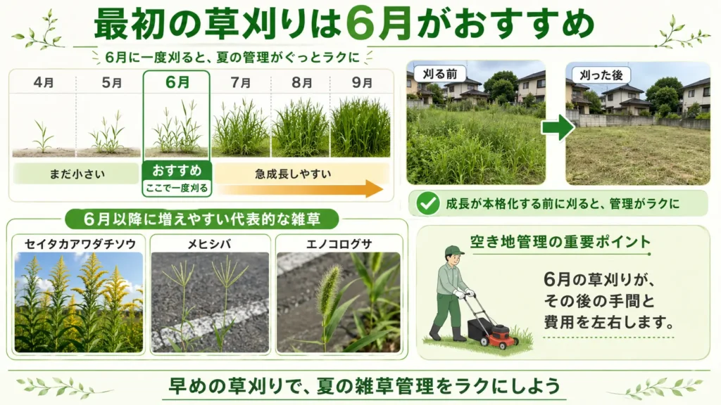 最初の草刈りは6月がおすすめであることを解説した図。4月から9月までの雑草の成長イメージ、刈る前後の比較、6月以降に増えやすい代表的な雑草を示し、早めの草刈りで夏の管理が楽になることを紹介している。