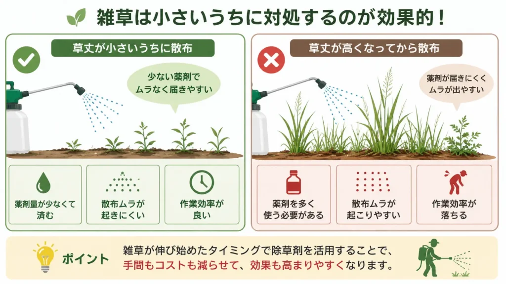 雑草が小さいうちに除草剤を散布するメリットを比較した図。草丈が低い段階では薬剤が行き渡りやすく、少ない薬剤量で効率よく散布できる一方、草丈が高くなると薬剤量や作業負担が増えることを分かりやすく示している。