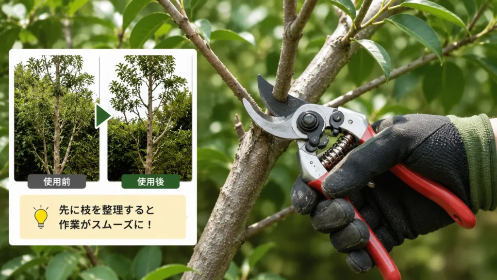 剪定ばさみで庭木の枝を整理している様子。伐採前に不要な枝を落とし、作業しやすい状態に整えるイメージの写真風画像
