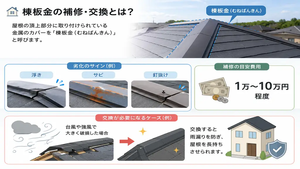棟板金の補修・交換のイメージ。浮き・サビ・釘抜けなどの劣化症状と補修費用の目安を解説した図