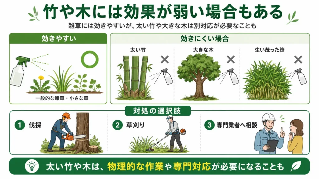 ラウンドアップは一般的な雑草には効きやすい一方で、太い竹や大きな木、成長した笹には効果が弱い場合があることを解説した図。伐採、草刈り、専門業者への相談といった対処法も示している。