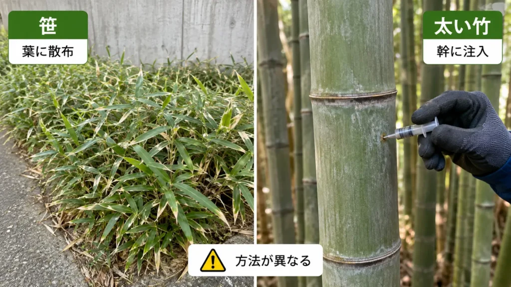 笹は葉へ散布し、太い竹は幹への注入など処理方法が異なることを示した比較画像