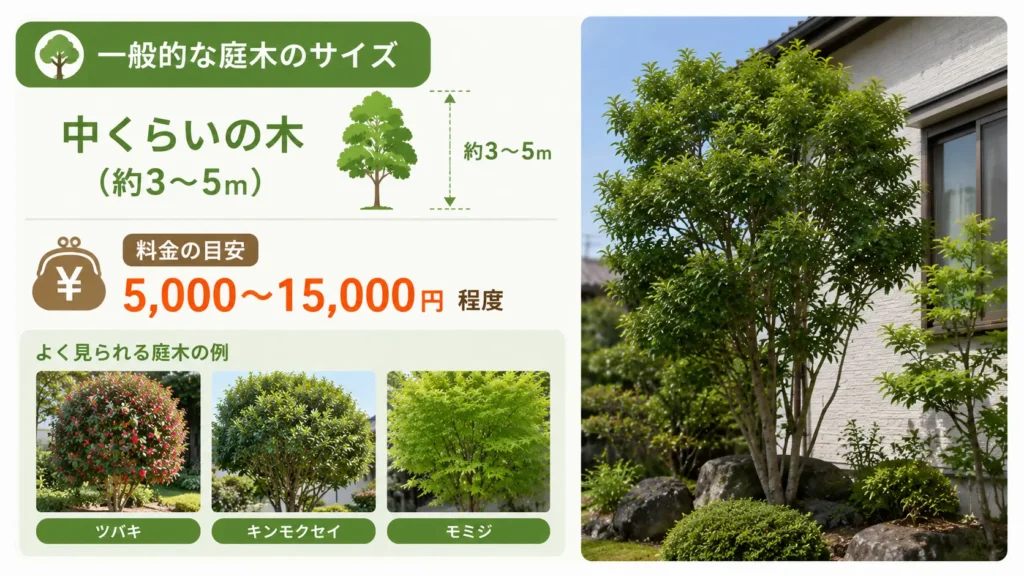 中木（3〜5m程度）の剪定料金の目安として、1本あたり5,000〜15,000円程度の相場と、ツバキ・キンモクセイ・モミジなど一般家庭でよく見られる庭木の例を写真風で紹介した画像