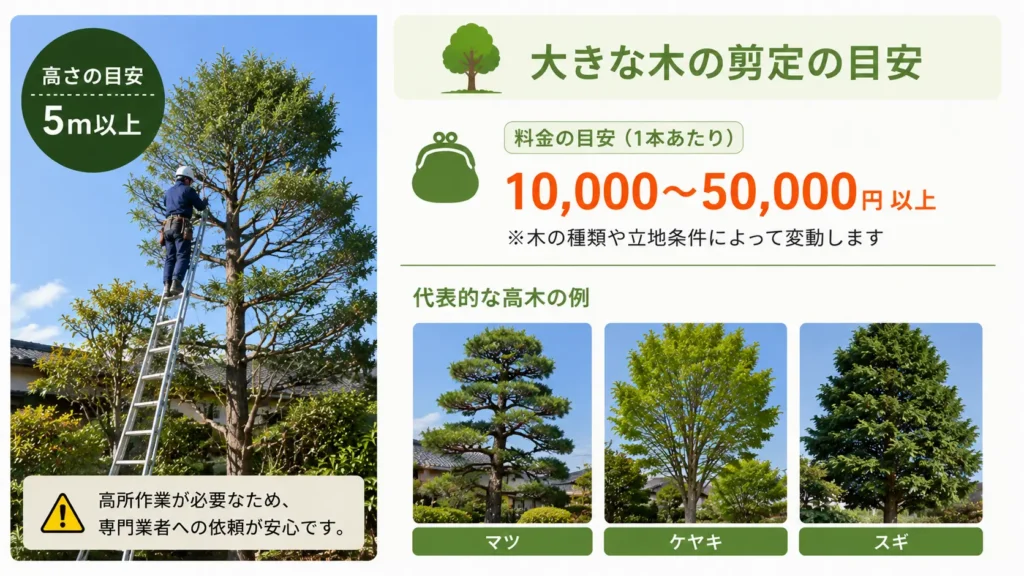 高木（5m以上）の剪定料金の目安として、1本あたり10,000〜50,000円以上の相場と、マツ・ケヤキ・スギなど代表的な高木の例、高所作業のイメージを写真風で紹介した画像