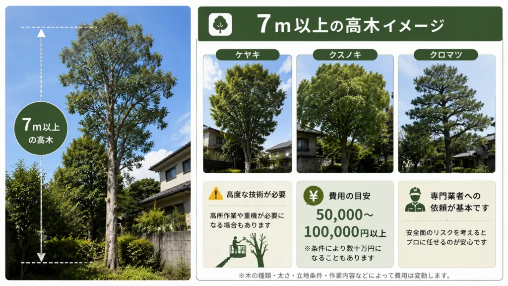 高さ7m以上の高木の伐採費用相場と、ケヤキ・クスノキ・クロマツの写真風イメージ、高所作業のため専門業者への依頼が基本であることを紹介した図解