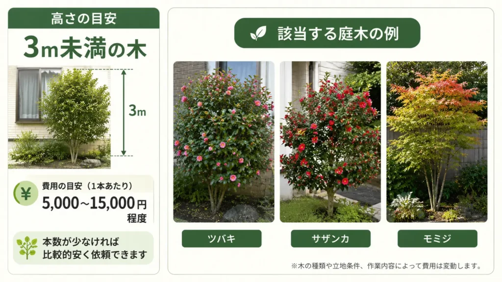 高さ3m未満の庭木の伐採費用相場と、ツバキ・サザンカ・モミジの写真風イメージを紹介した図解