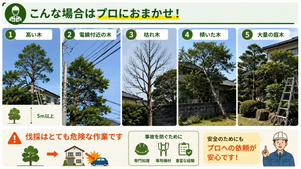 植木屋へ依頼したほうがよいケースをまとめた画像。高木や電線付近の木、枯れ木、傾いた木、大量の庭木など危険性が高い作業を写真付きで紹介。