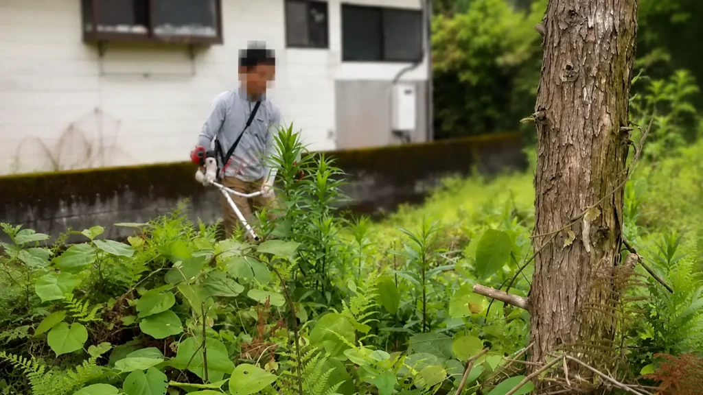 隣接する空き地。雑草が胸の高さまで伸びている