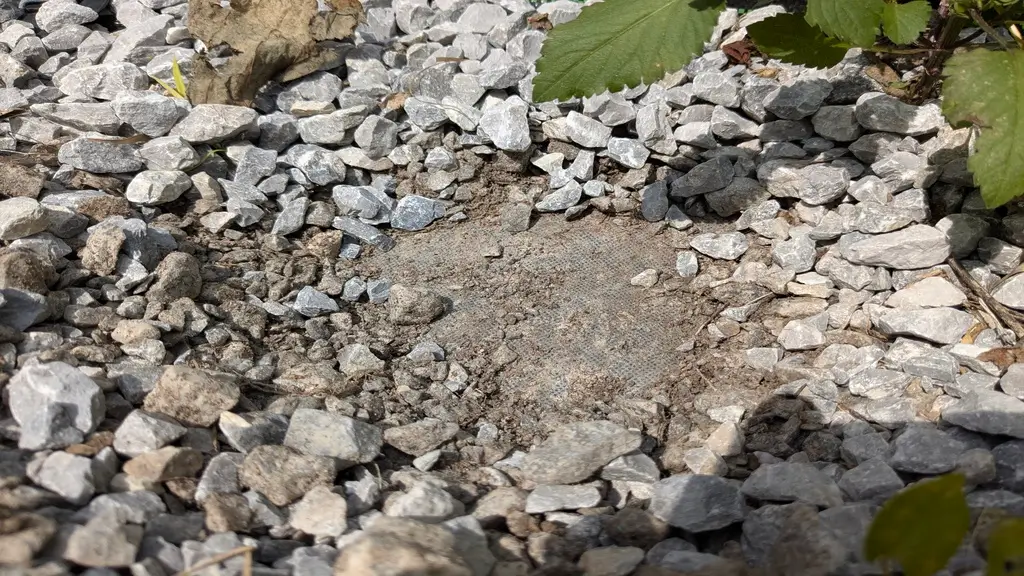 家の敷地の防草シート。業者に敷いてもらって約1年が経つ。ところどころに雑草が生えてきた。