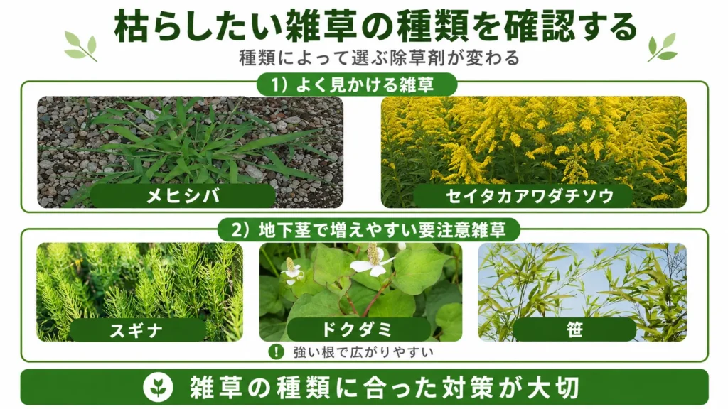 除草剤を選ぶ前に確認したい雑草の種類をまとめた図。メヒシバ、セイタカアワダチソウ、スギナ、ドクダミ、笹などの代表的な雑草を写真風に示し、雑草の種類に合った対策が重要であることを分かりやすく紹介している。