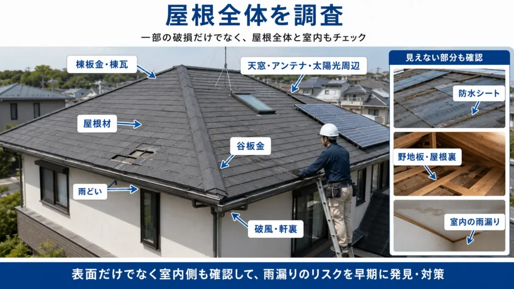屋根全体の点検で確認する屋根材や板金、防水シート、屋根裏、室内の雨漏り箇所を示した画像