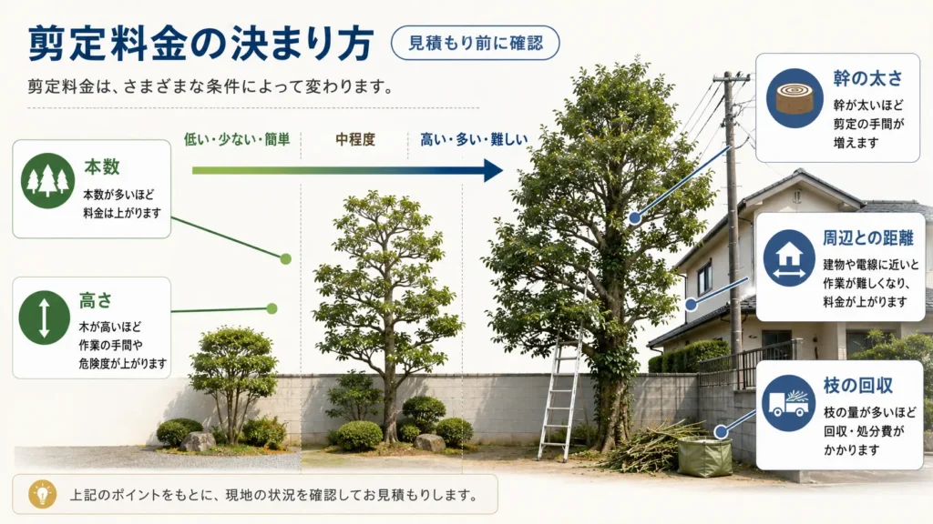庭木の本数や高さ、幹の太さ、周辺環境、枝の回収で剪定料金が変わることを示した図