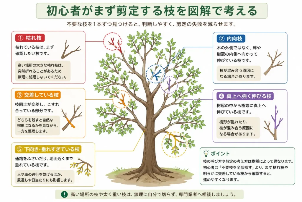 庭木剪定で初心者が確認したい枯れ枝・内向枝・交差枝・真上枝・下向き枝を示した図解