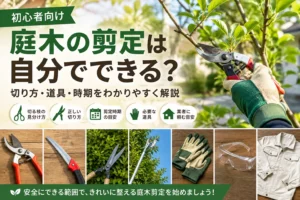 庭木の剪定を自分で行う方法や必要な道具、剪定時期を紹介する初心者向け画像