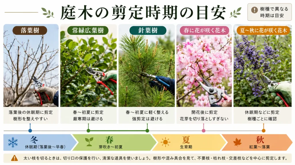 落葉樹・常緑広葉樹・針葉樹・花木ごとの庭木剪定時期の目安を示した画像
