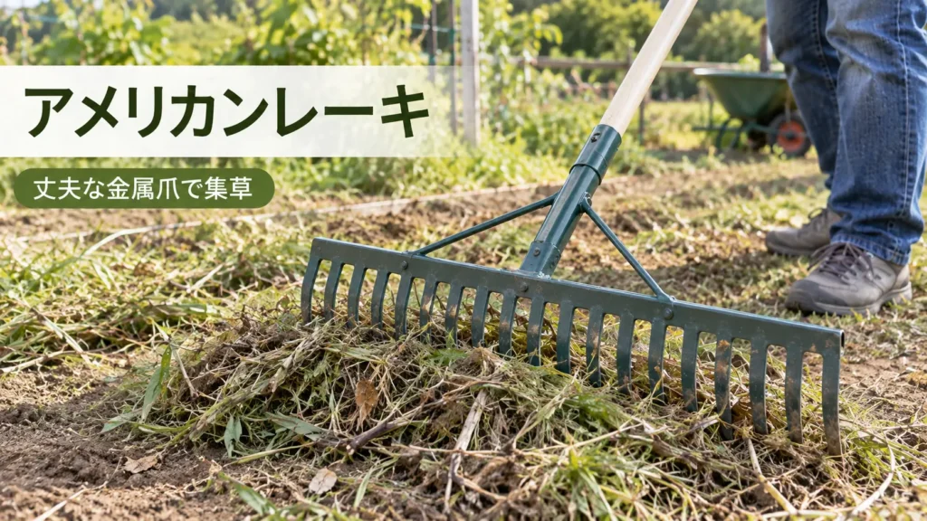 丈夫な金属爪のアメリカンレーキで刈草をかき寄せて集める様子を示した画像