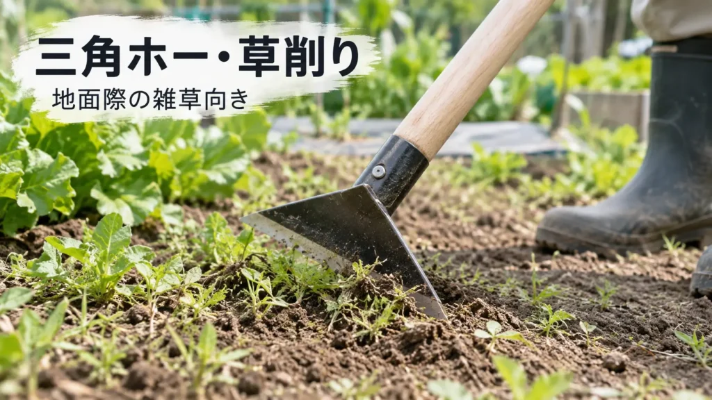 三角ホーを使って地面際の小さな雑草を削っている様子の画像