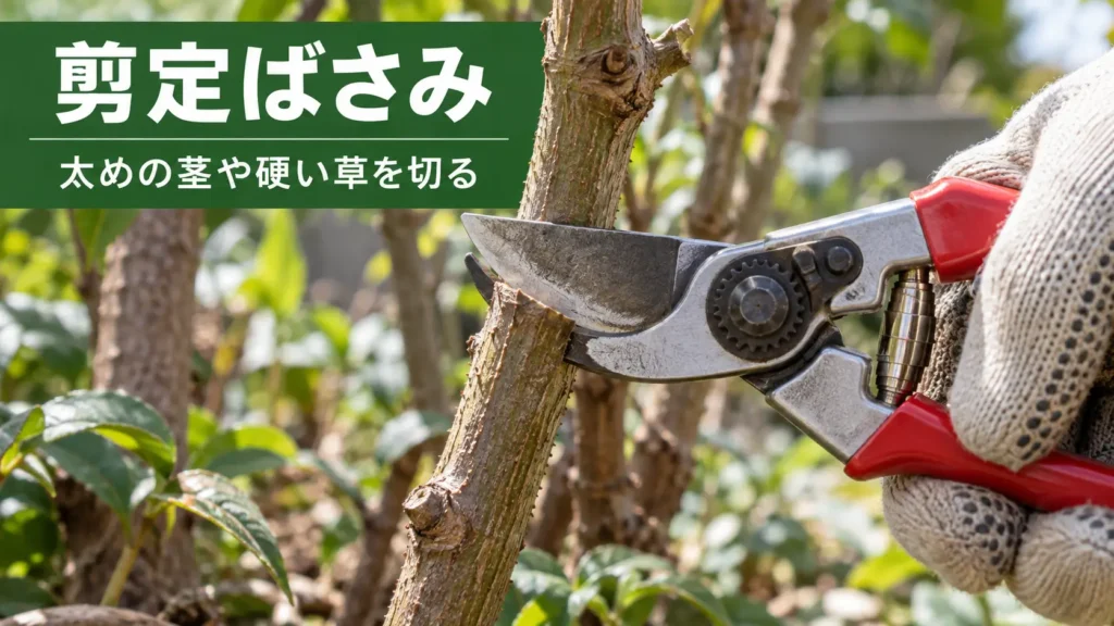 剪定ばさみを使って太めの茎や硬い植物を切っている様子の画像