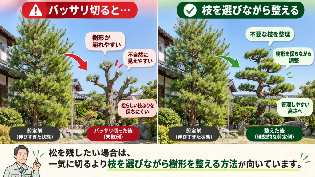 伸びすぎた松をバッサリ切る場合と、枝を選びながら樹形を整えて剪定する方法を比較した図